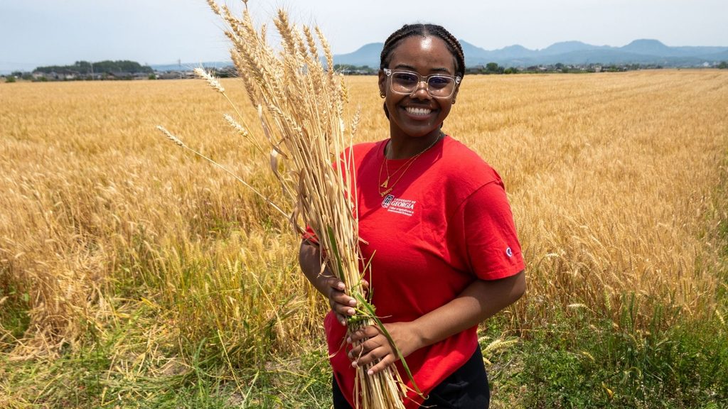 Female student holds bundle of wheat in field